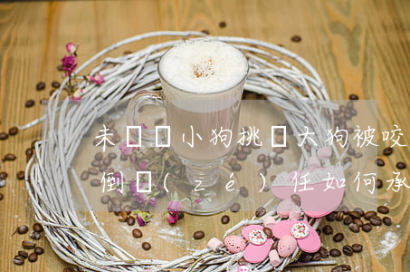 未牽繩小狗挑釁大狗被咬，男子踹狗致老人摔倒責(zé)任如何承擔(dān)？